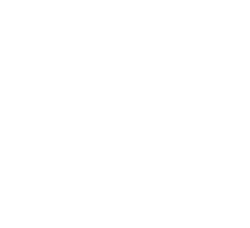 Studio Mapping Motion
